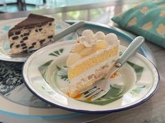 -聚福SHANGHAILANDER(乌鲁木齐南路店)