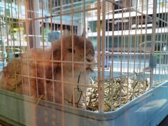 -雨林宠物医院 非犬猫异宠专科
