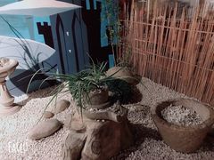 -上海动漫博物馆