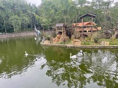 -深圳野生动物园