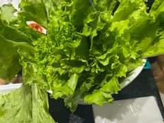 -海花锅盖烧烤店(怡馨家园店)