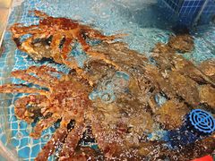 -好礼家海鲜•海肠捞饭大王(金沙滩念慈别墅店)