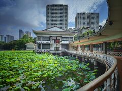 -荔湾湖公园