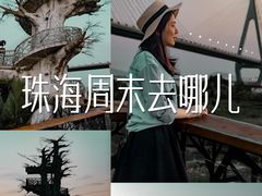 -芒洲湿地公园