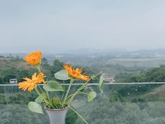 -远山有窑