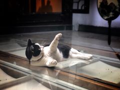 -猫的天空之城概念书店(杭州南宋御街店)