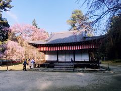 -醍醐寺