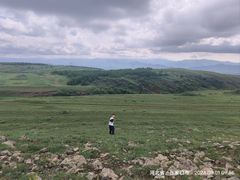 -张北坝上草原