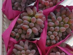 -马陆小张葡萄园农家乐