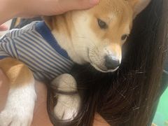 -猫色咖啡·猫咖