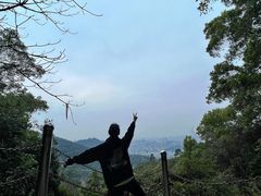 -荔景渔庄