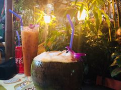 -Jungle Kitchen