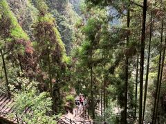 -刘伯温故里景区百丈漈