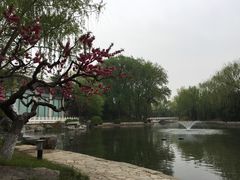 -钓鱼台国宾馆
