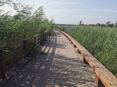 -绿堤公园