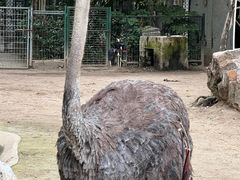 -上海动物园(地铁站)