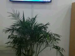 -青岛市图书馆