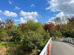 -上海浦江郊野公园-3号停车场