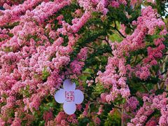 -杭州城北体育公园