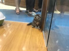 -龟与熊猫宠物公园(南坪店)