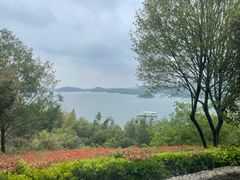 -天目湖涵田半山温泉