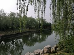 -大兴滨河森林公园