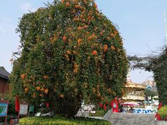 -凤岭儿童公园