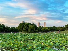 -滆湖低碳生态公园