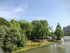 -南翔镇银翔湖公园
