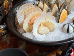 扇贝-丽江庭院之爱在路上(西单店)