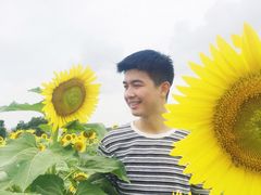 -光明小镇欢乐田园