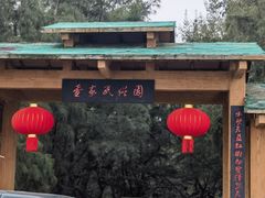 -北海金海湾红树林生态旅游区