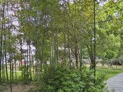 -东湖落雁景区