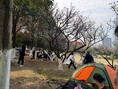 -桐乡凤凰湖