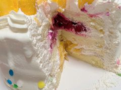 -今日·TODAY手作低脂动物奶油蛋糕定制(高新万达店)