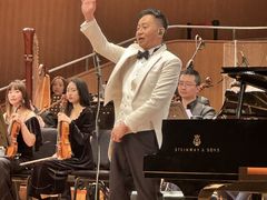-上海东方艺术中心