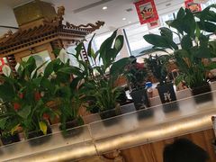 -大清花饺子(山庄店)