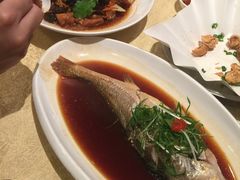 虫草炖鸡+深海大黄鱼-贴阁碧(百丈东路店)