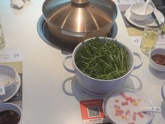 -烹然四季椰子鸡火锅(姚家园万象汇店)