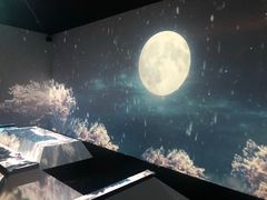-火影忍者动画多媒体展