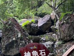 -呀诺达热带雨林