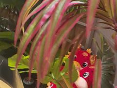 -湊湊火锅·茶憩(皇姑万象汇店)