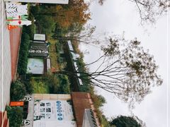 -熊猫主题餐厅