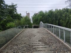 -九里河湿地公园