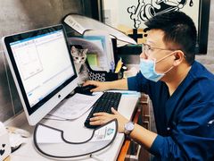 -美联众合宠物医院·爱萌分院·内外科·猫科中心