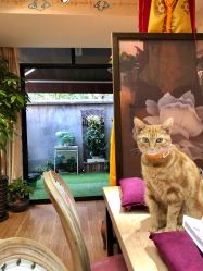 -EasyLady美甲沙龙