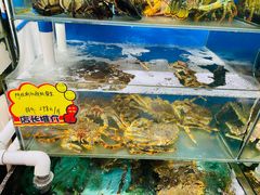 -蚝专家(北滘店)