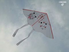 -洨河生态公园