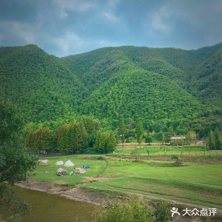 湖州安吉小杭坑营地｜可以带着狗狗🐶去的露营⛺地️