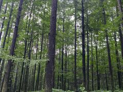 -洛阳白云山景区